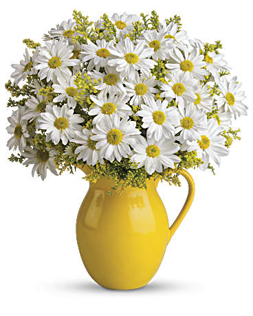 Teleflora's Sunny Day Pitcher of Daisies Flower Arrangement