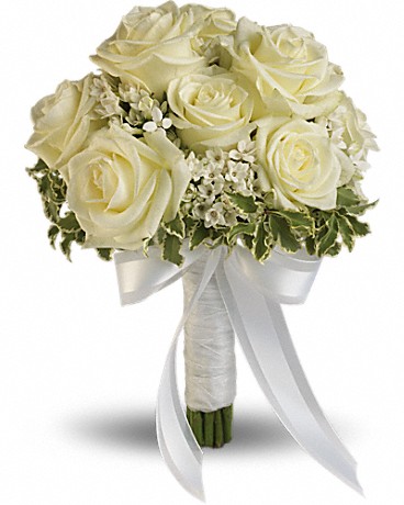 Standard size, 11 and a half inches height and 9 inches wide.