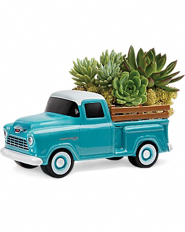 Standard size, 8 and a half inches height and 11 inches wide.