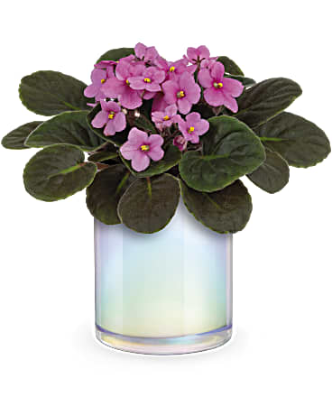 Standard size, 8 and a half inches height and 9 1/4 inches wide.