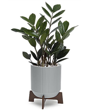 Standard size, 16 inches height and 10 inches wide.