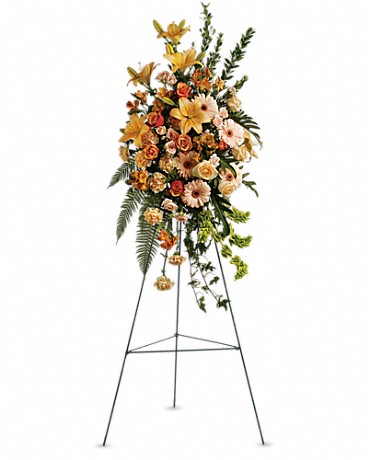 Standard size, 46 inches height and 23 inches wide.