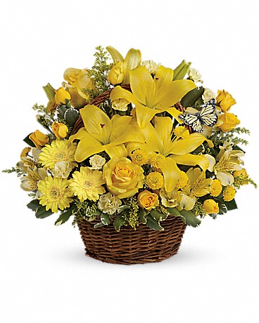 Premium size, 12 and a half inches height and 13 inches wide.