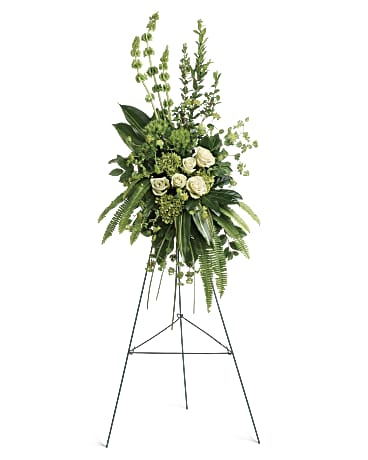 Standard size, 47 inches height and 24 and a half inches wide.