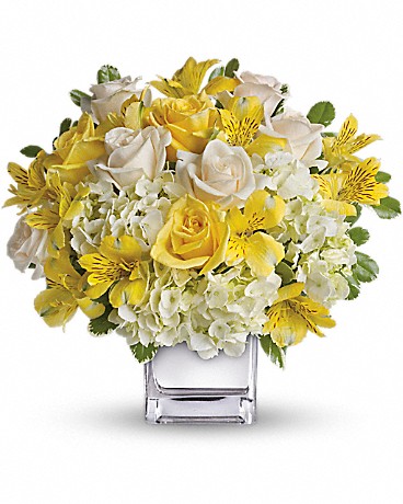 Premium size, 13 inches height and 14 inches wide.