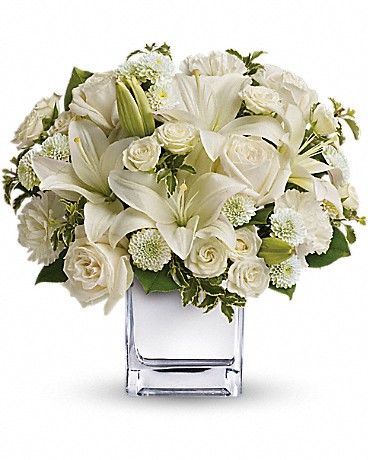 Premium size, 13 inches height and 12 and a half inches wide.