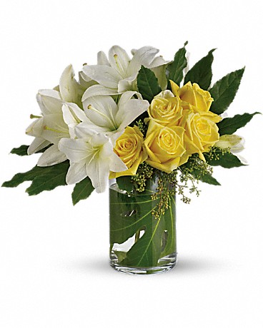 Standard size, 16 inches height and 17 and a half inches wide.