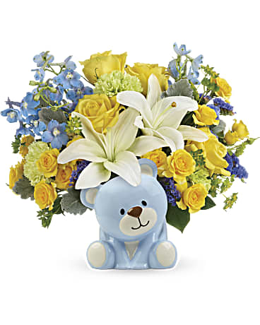 Premium size, 12 3/4 inches height and 14 and a half inches wide.