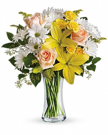 Standard size, 17 inches height and 15 3/4 inches wide.