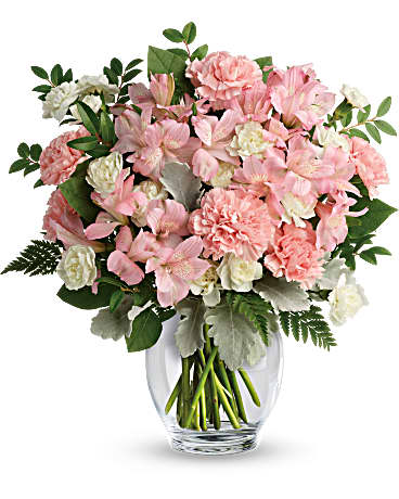 Premium size, 16 3/4 inches height and 15 1/4 inches wide.