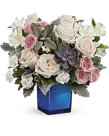 Premium size, 13 1/4 inches height and 14 and a half inches wide.