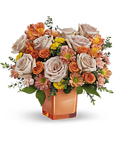 Premium size, 13 inches height and 14 inches wide.