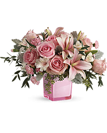 Premium size, 11 and a half inches height and 17 inches wide.