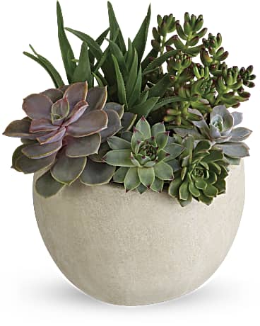 Standard size, 11 3/4 inches height and 9 and a half inches wide.