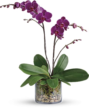 Standard size, 26 inches height and 22 inches wide.