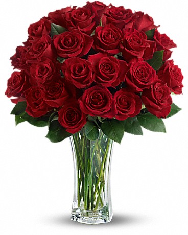 Standard size, 22 inches height and 15 inches wide.